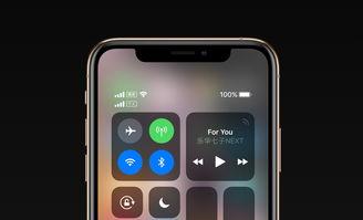 钛灰色苹果11最新爆料,外观设计大揭秘，性能升级引期待！  第3张